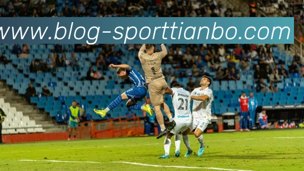 天博体育APP 封面图